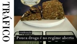 STF aprova pena no regime aberto para o tráfico de pouca droga 